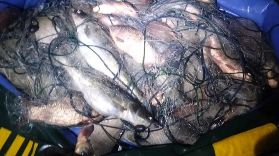 У Кам’янському районі затримали браконьєра з уловом на 122 тисячі гривень