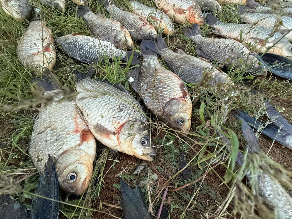 У Кам’янському “на гарячому” спіймали браконьєра