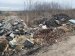 У Житомирі в районі вулиці Авіаторів екологи виявили чергове стихійне сміттєзвалище