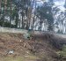 В Оліївській громаді Екоінспекцією виявлено несанкціоноване сміттєзвалище