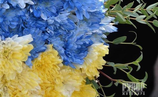 Майже рік вважався зниклим безвісти: Загинув Захисник з Житомирської області
