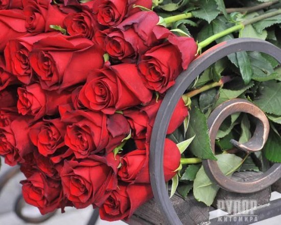 Житомир попрощався із офіцером, який усе своє життя присвятив служінню Україні та захисту українського народу