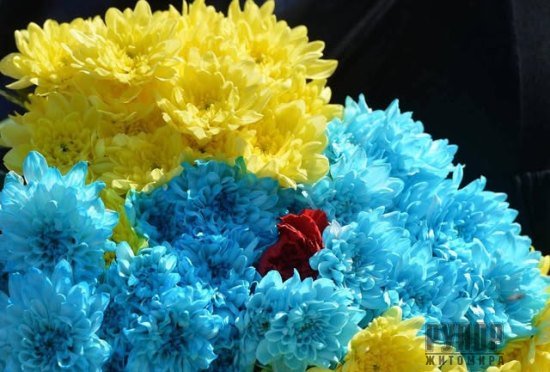 На щиті повернувся Герой з Житомира