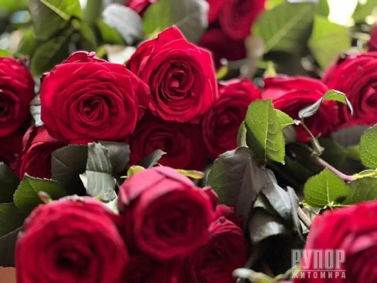 На щиті повернувся Герой з Житомира