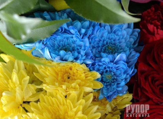 Лише через дев’ять місяців Герой на щиті повернувся до рідного Житомира