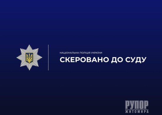 Кривдили матерів та дружин: поліцейські завершили розслідування кількох випадків домашнього насильства в Житомирському районі