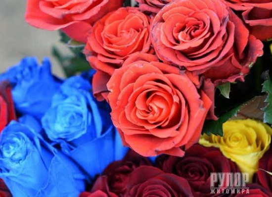 Через рік і два місяці Герой на щиті повернувся до Житомира