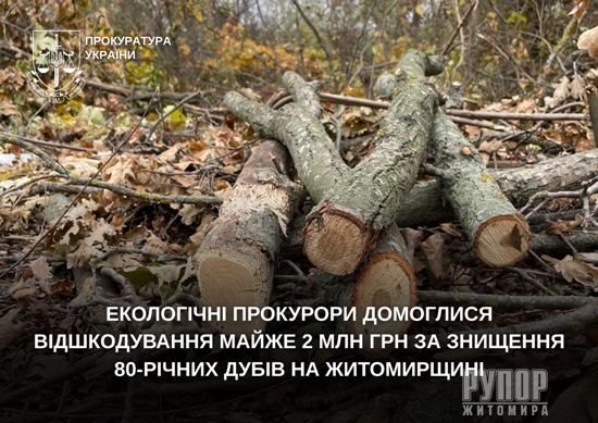 Екологічні прокурори домоглися відшкодування майже 2 млн грн за знищення 80-річних дубів на Житомирщині