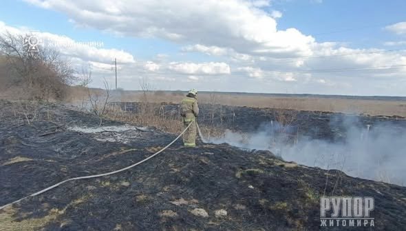 Упродовж минулої доби на Житомирщині рятувальники ліквідували 15 пожеж на відкритих територіях