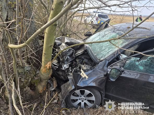 Поліція розслідує смертельну ДТП у Бердичівському районі