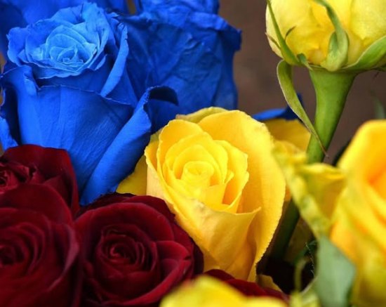 Лише через десять місяців Герой на щиті повернувся до Житомира