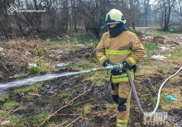 На Коростенщині під час пожежі сухої рослинності травмувалась людина