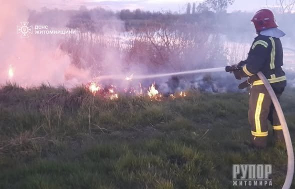 На Житомирщині продовжує горіти суха трава