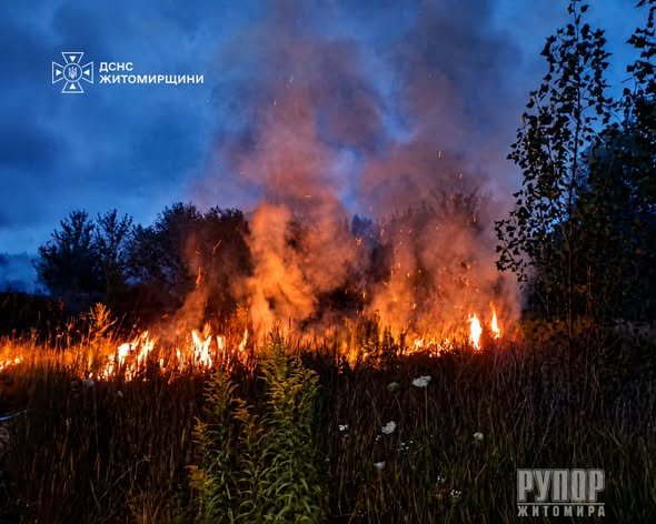 У Житомирському районі під час самостійного гасіння пожежі отримала опіки 74-річна жінка