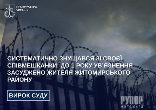 Систематично знущався зі своєї співмешканки: до 1 року ув’язнення засуджено жителя Житомирського району