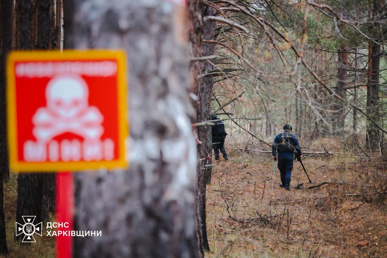 Впродовж тижня підрозділи ДСНС знешкодили на Харківщині понад 250 вибухонебезпечних предметів (відео)