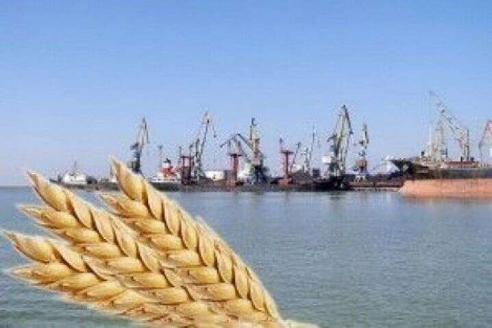 Чи візьмуться військові США до вивезення зерна з українських портів: відповідь Пентагону