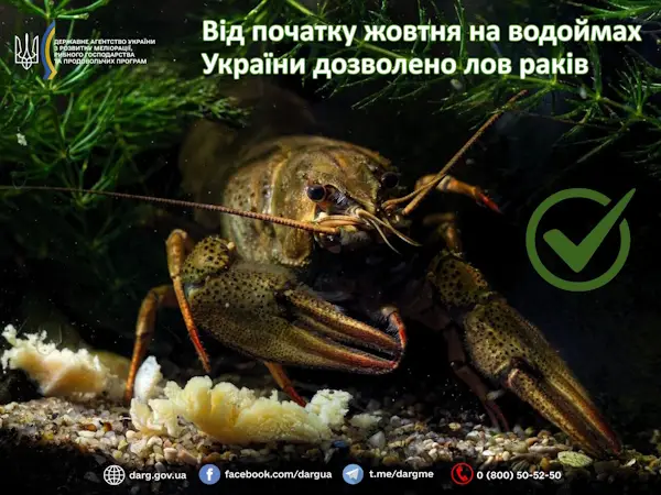 Від початку жовтня на водоймах України дозволено лов раків