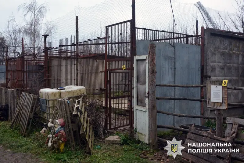 У Хмельницькому оголосили підозру керівнику приватного зоокуточка, звідки днями з вольєра втекли дві левиці