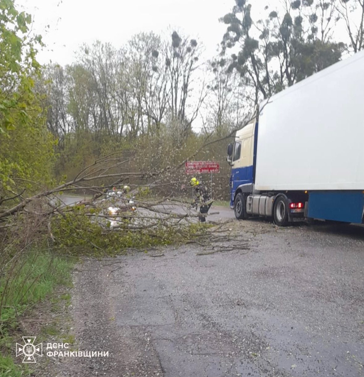 Негода на Прикарпатті: сильний вітер повалив дерева (ФОТО)