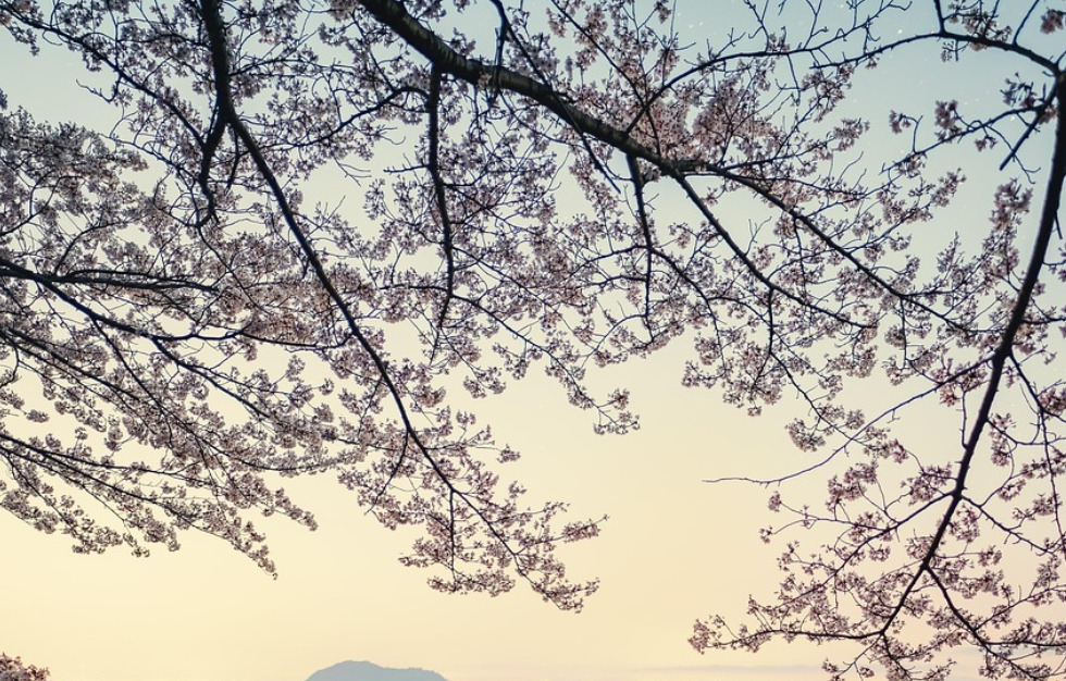 Весна вривається з аномальним теплом: у Львові буде до +15°C у перший день березня