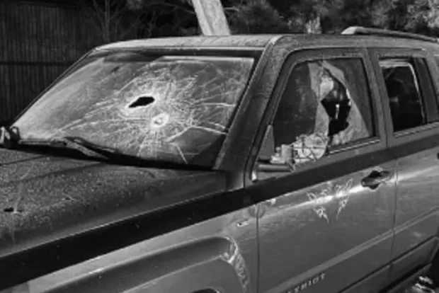 Почула звук, схожий на постріл: Колишня Льовочкіна залишилася без автівки (фото)