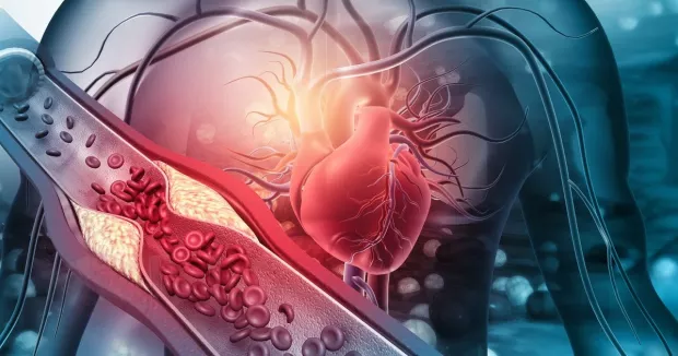 Наслідки можуть жахнути! Вчені розповіли, як сидяча робота впливає на серце