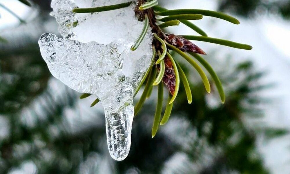 Попередили про небезпечні метеорологічні явища: якою буде погода в Україні 24 січня