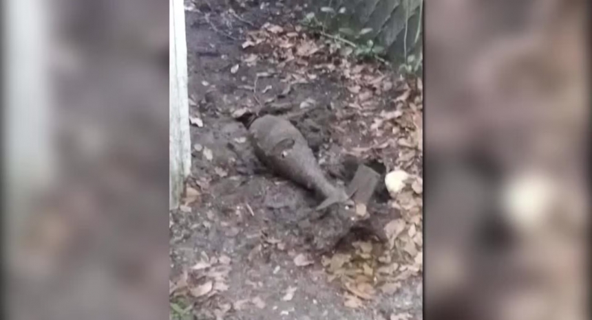 Собака рылась во дворе и обнаружила бомбу
