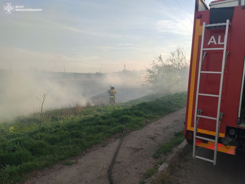 В Николаевской области умышленно поджигают камыш — за сутки было 4 пожара в экосистемах