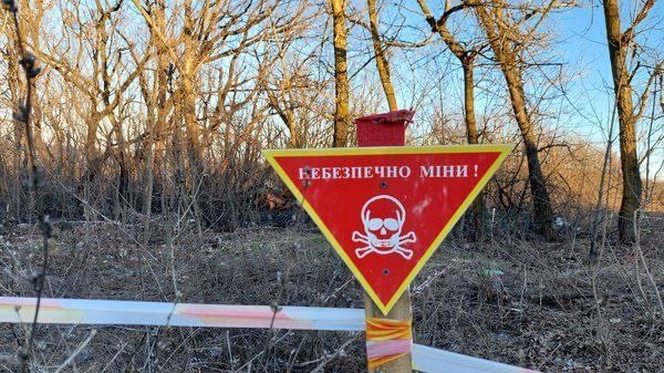 В Николаевской области трое жителей пытались поднять мину и она сдетонировала: двое в больнице