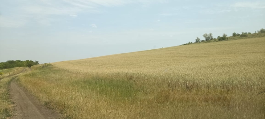 Часть заповедника в Николаевской области распахали: нарушителями займется полиция