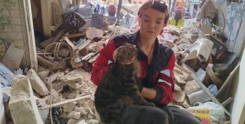В Киеве спасли кота, который пробыл под завалами 10 часов