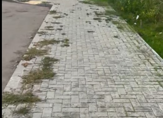 Уложенная в Николаеве серая плитка поросла травой: по ней практически не ходят (видео)