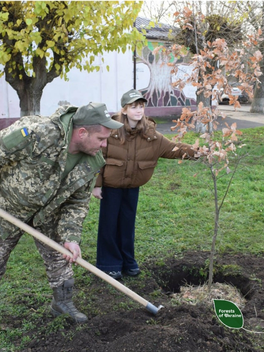 В ГП «Леса Украины» сообщили, что высадили в Николаевской области 35,5 миллиона деревьев