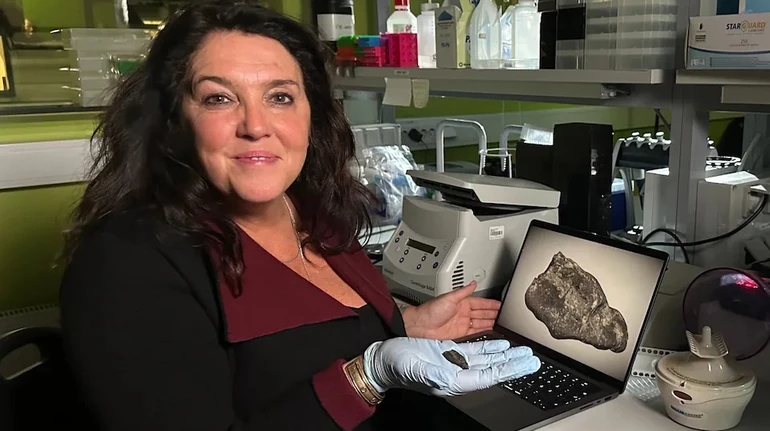 В Эстонии нашли 10 500-летнюю жевательную резинку