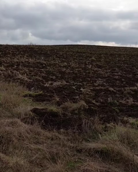 Фермер снес старинное еврейское кладбище в Николаевской области (видео)