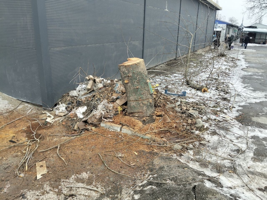 В Николаеве на месте скандального строительства продолжают пилить деревья (видео)