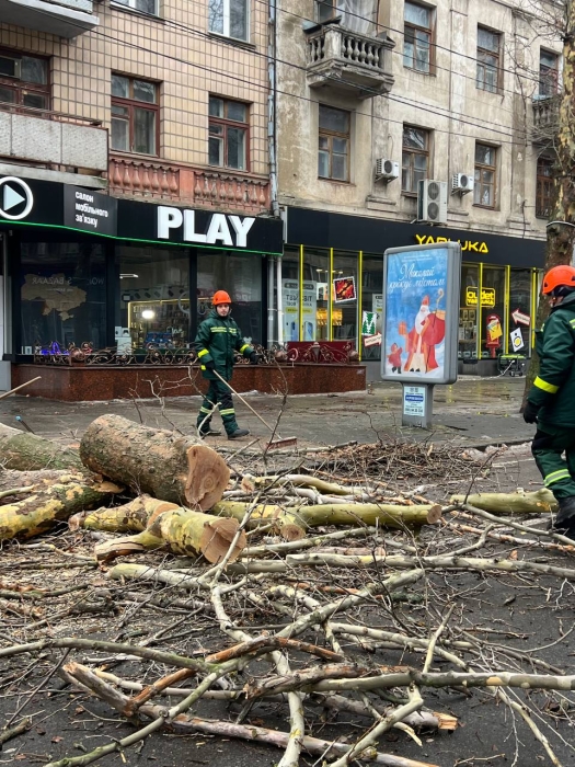 Аварийные деревья спилили на главной пешеходной улице Николаева (фото)
