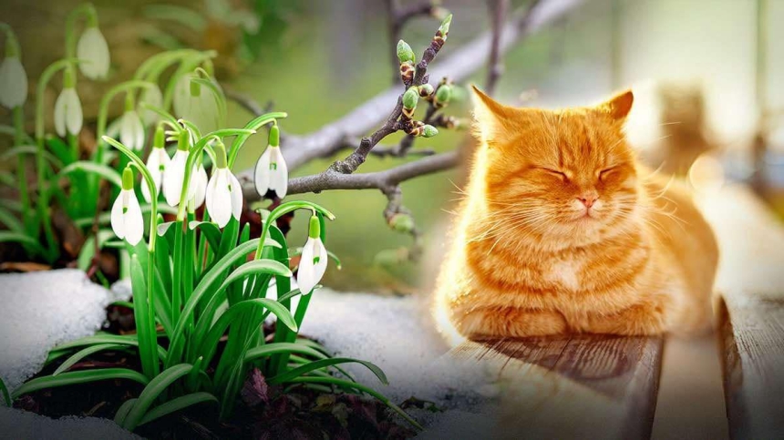 Синоптики рассказали, какой будет погода в Николаеве и области на стыке зимы и весны