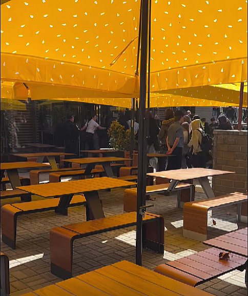 В Николаеве открыли McDonald's: горожане бегом ринулись в ресторан (видео)