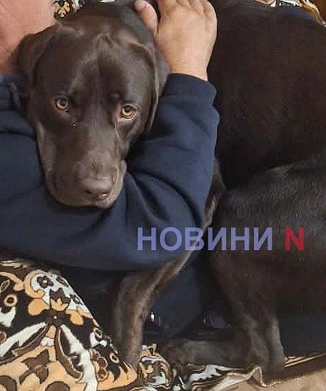 news-image