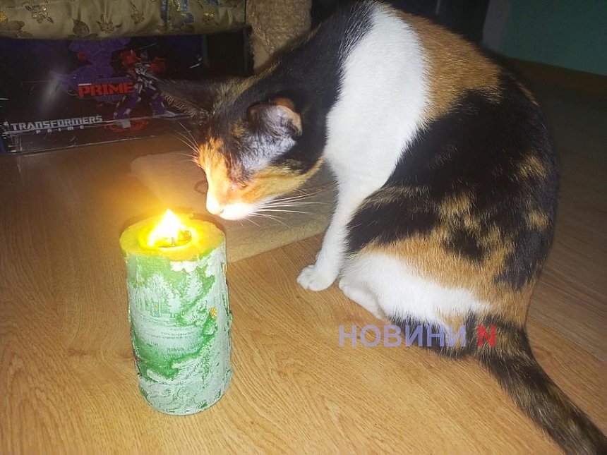 news-image