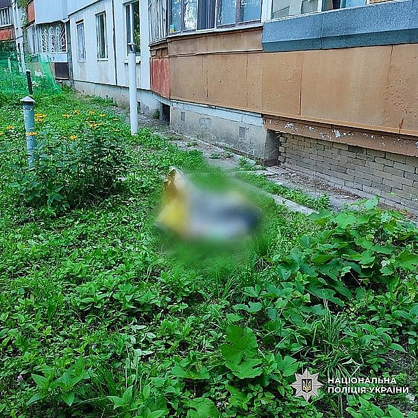 news-image