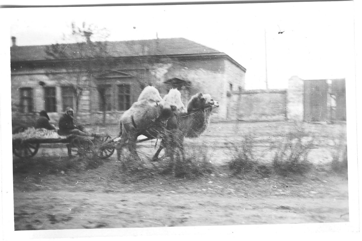 news-image