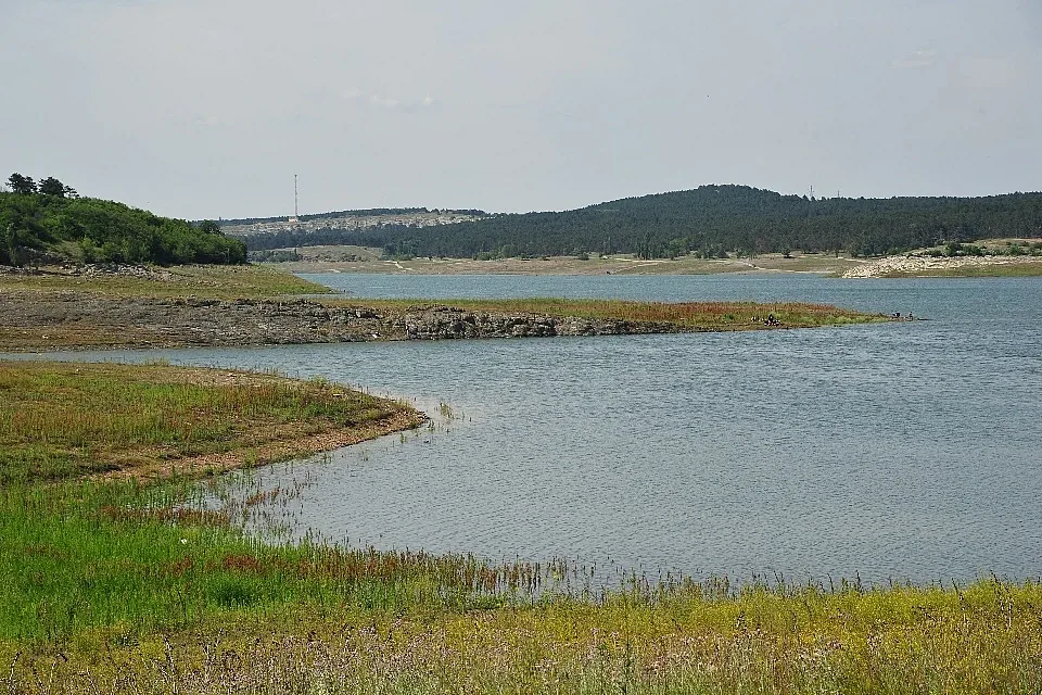 news-image