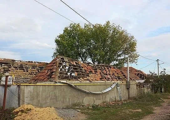news-image