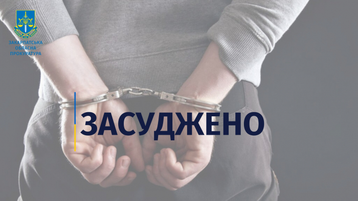 Святкування дня народження, що закінчилося вбивством: мукачівця засудили до 14 років ув’язнення