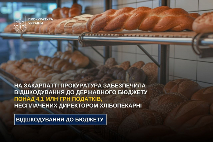 На Закарпатті директор хлібопекарні відшкодував понад 4,1 млн грн несплачених податків