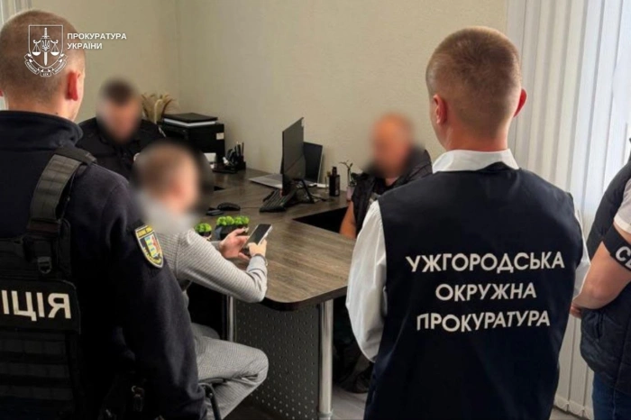 Ділянка за чверть мільйона доларів: під Ужгородом викрили аферу з оформленням землі